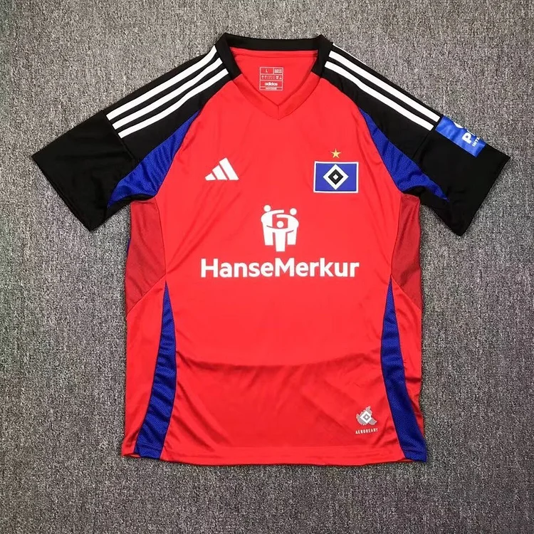 24/25 Hamburger SV Third Away Football Shirt 1:1 Thai Quality